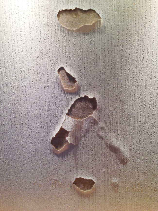 【ＤＩＹ失敗談】壁紙に直接両面テープは危険！！壁紙がビリビリに破けちゃった！